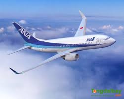 Hãng hàng không All Nippon Airways