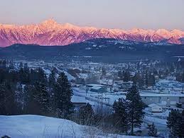 Cranbrook