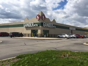 Gander