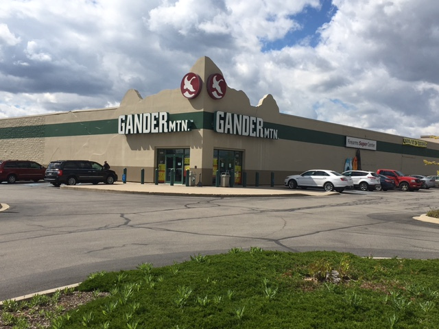 Gander