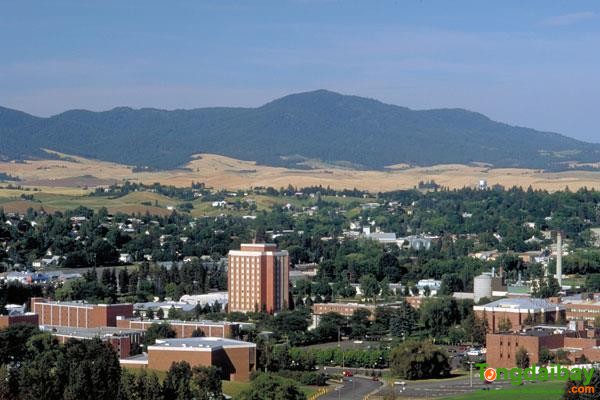Pocatello
