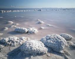 Salt Lake