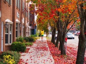 Tallahassee