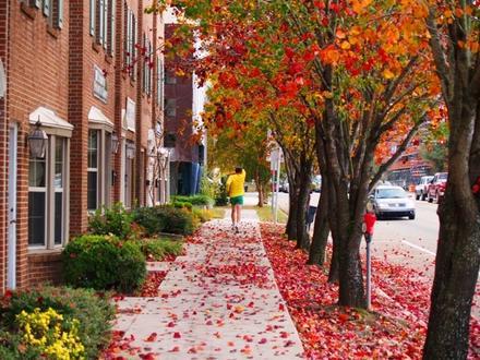 Tallahassee